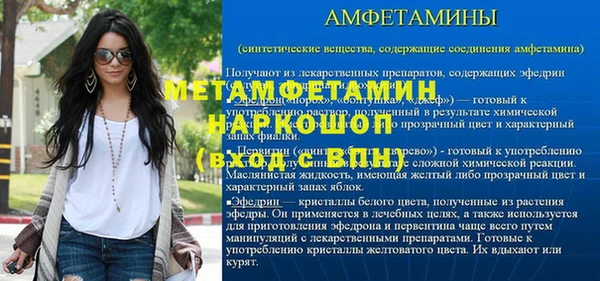 шишки Абаза