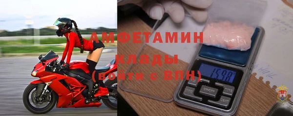 шишки Абаза