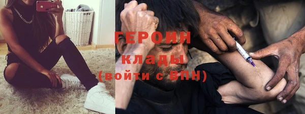 шишки Абаза