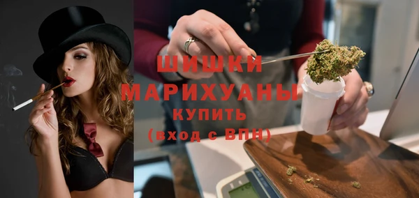 шишки Абаза