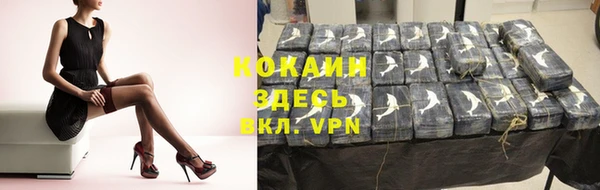 шишки Абаза