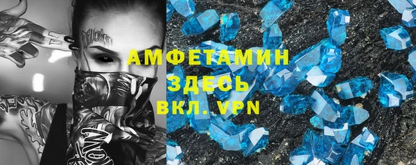 шишки Абаза