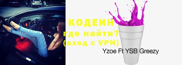 шишки Абаза