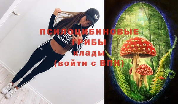 шишки Абаза