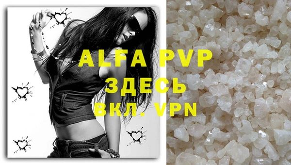 шишки Абаза