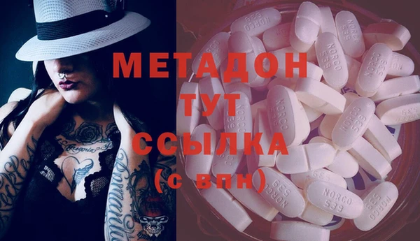 шишки Абаза