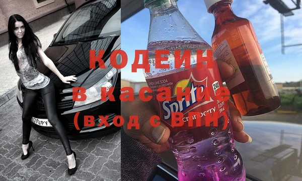 шишки Абаза