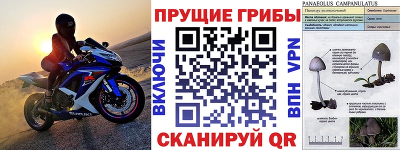 Галлюциногенные грибы мухоморы  наркотики  Ахтырский 